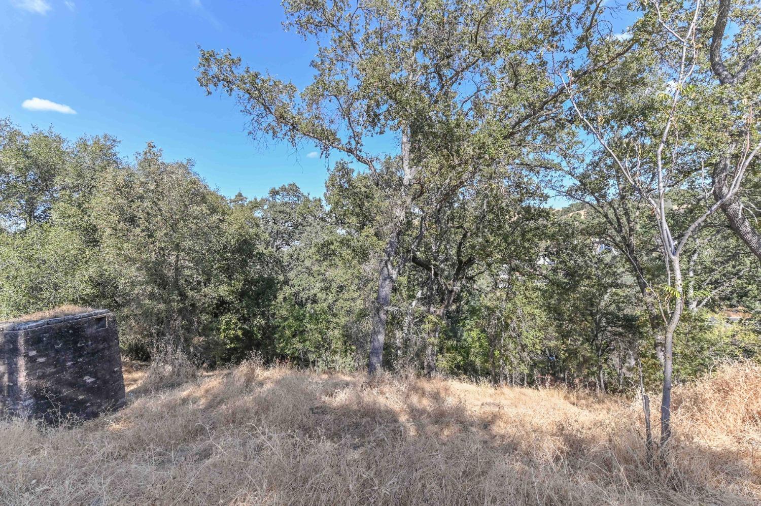 0 Raspberry Lane Angels Camp, CA 95222 - Photo 19 of 46 a view of a dry yard with trees in the background