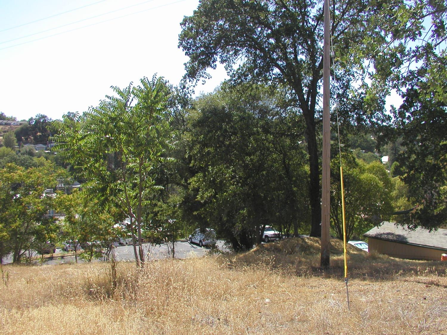 0 Raspberry Lane Angels Camp, CA 95222 - Photo 2 of 46 a view of outdoor space and yard