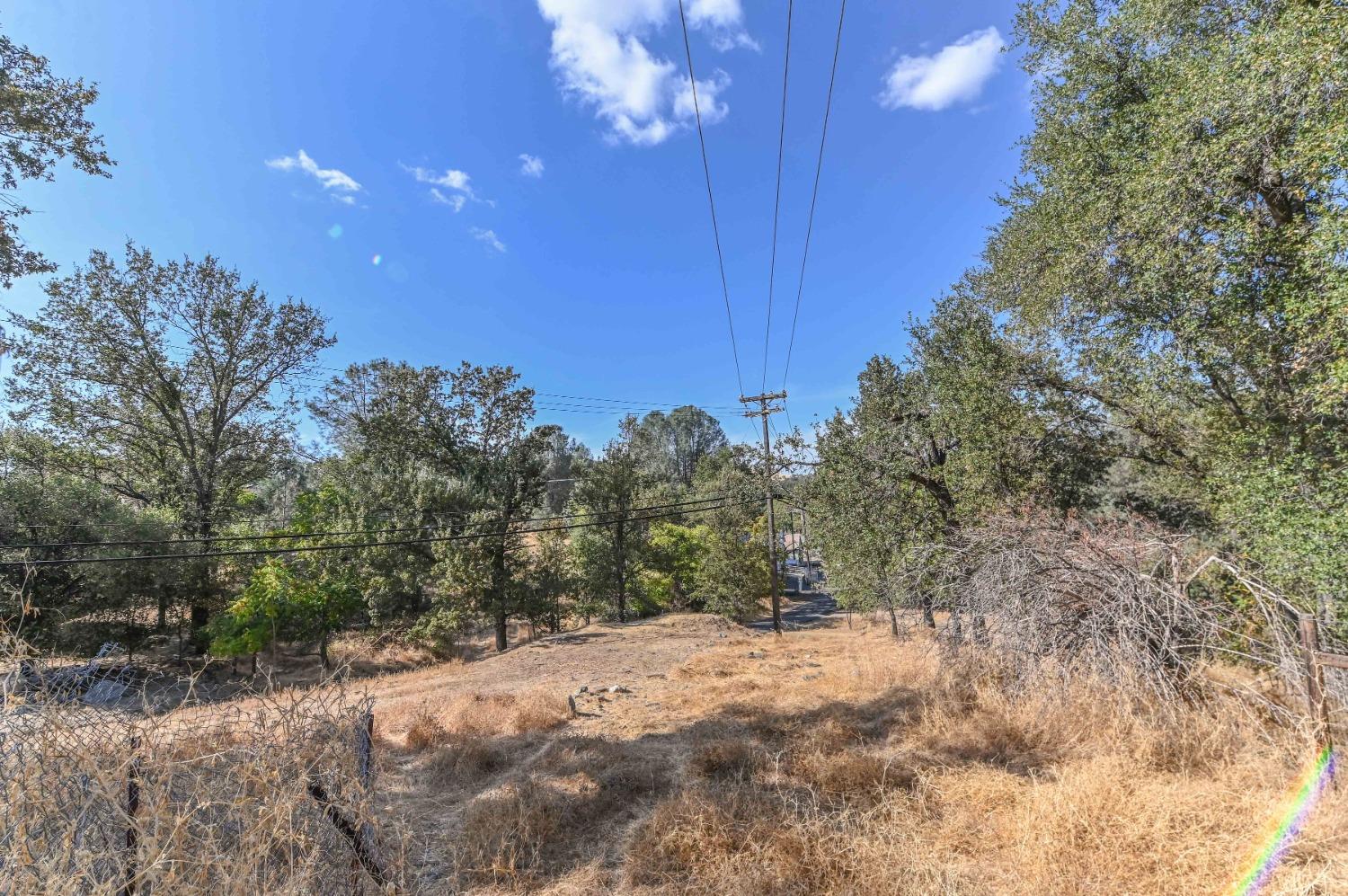 0 Raspberry Lane Angels Camp, CA 95222 - Photo 21 of 46 a view of a yard with a tree