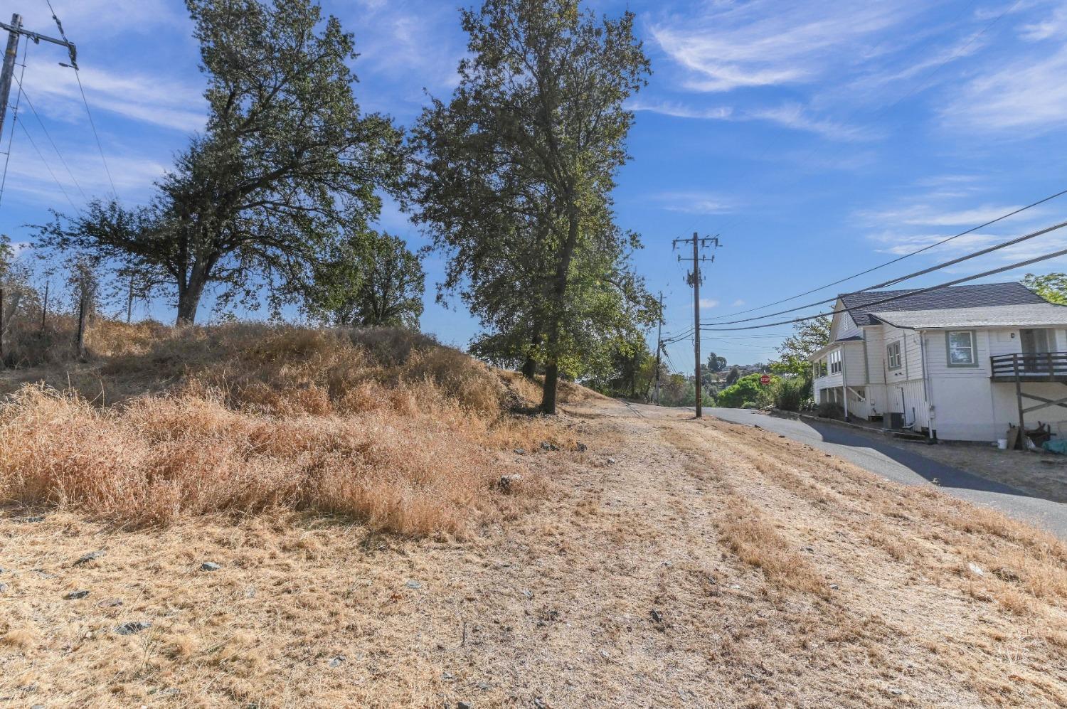 0 Raspberry Lane Angels Camp, CA 95222 - Photo 23 of 46 a view of a yard with a tree