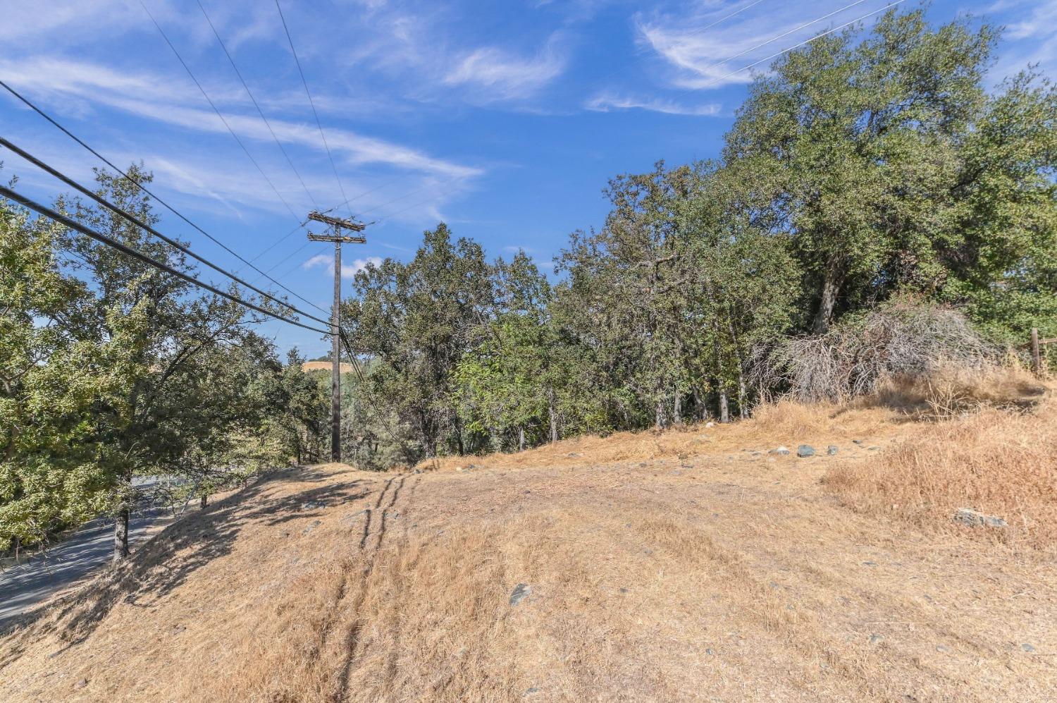 0 Raspberry Lane Angels Camp, CA 95222 - Photo 25 of 46 a view of a yard with a tree