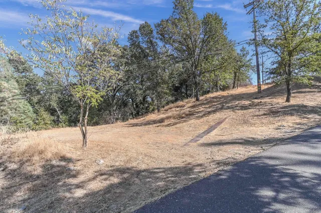 a view of a backyard with trees
