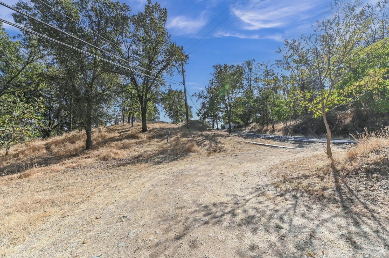 0 Raspberry Lane Angels Camp, CA 95222 - Photo 29 of 46 a view of dirt yard with large trees