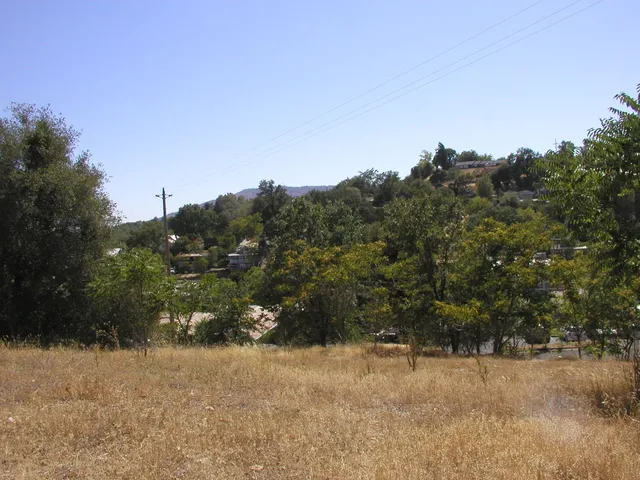 a view of a dry yard with trees