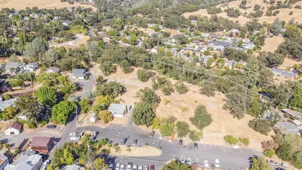 a view of a yard with a tree
