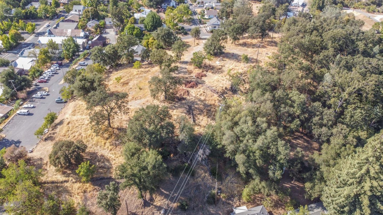 0 Raspberry Lane Angels Camp, CA 95222 - Photo 36 of 46