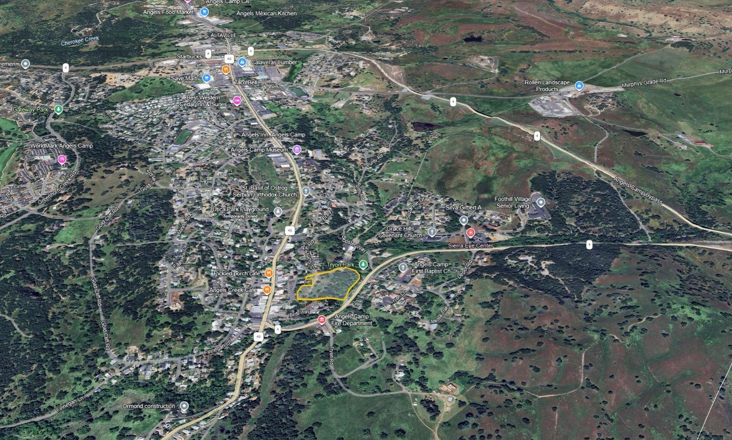 0 Raspberry Lane Angels Camp, CA 95222 - Photo 45 of 46 a view of a forest with a tree