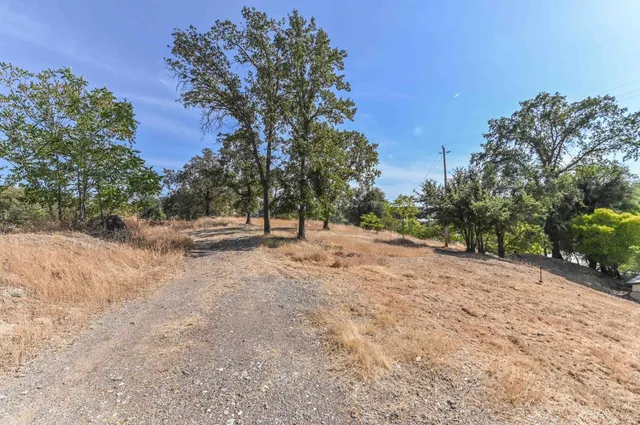 a view of outdoor space with trees