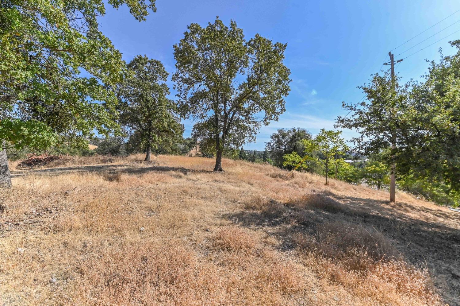 0 Raspberry Lane Angels Camp, CA 95222 - Photo 7 of 46 a view of outdoor space with trees