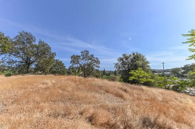 a view of a yard with a tree