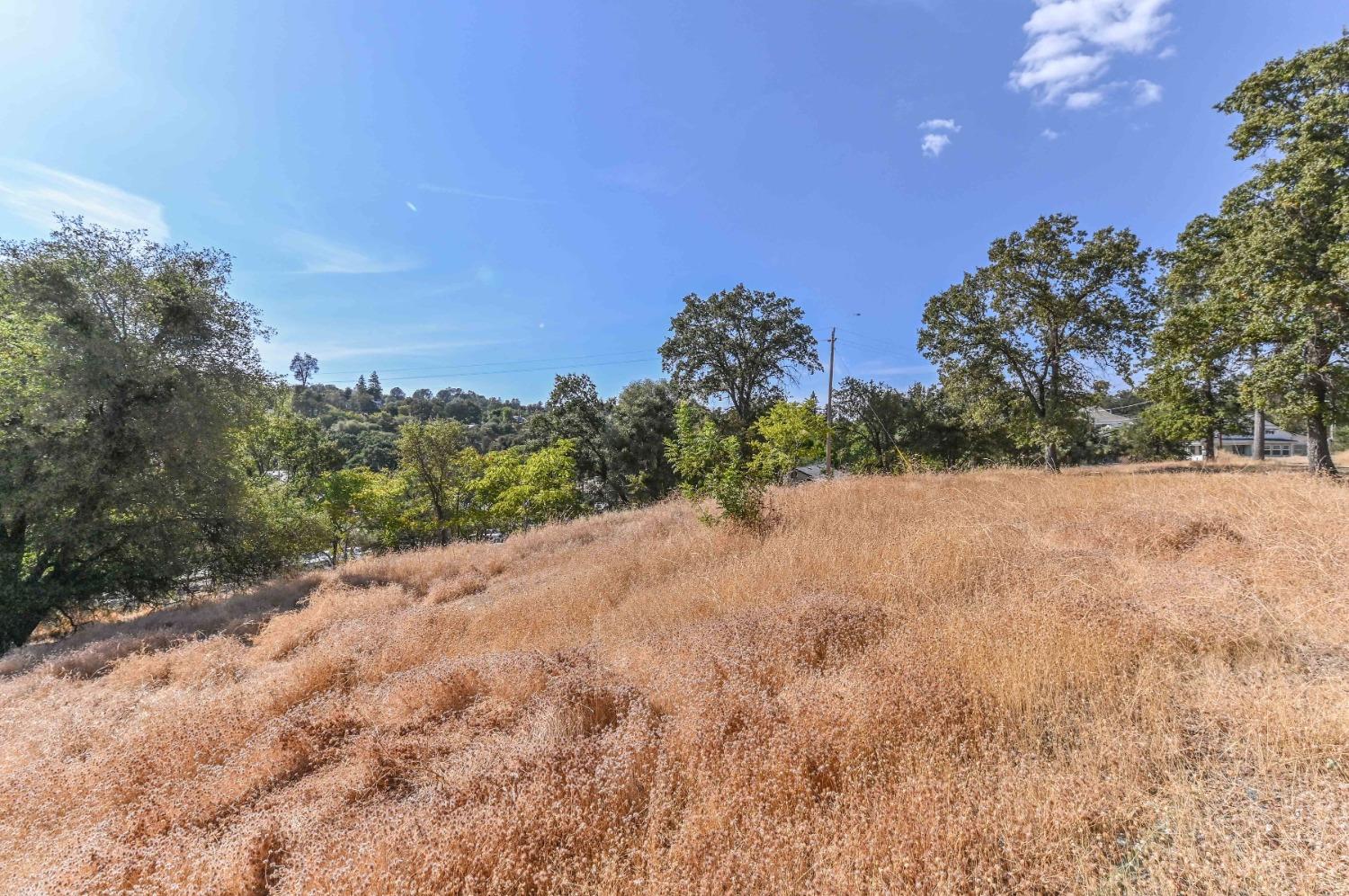0 Raspberry Lane Angels Camp, CA 95222 - Photo 9 of 46 a view of a yard with a tree