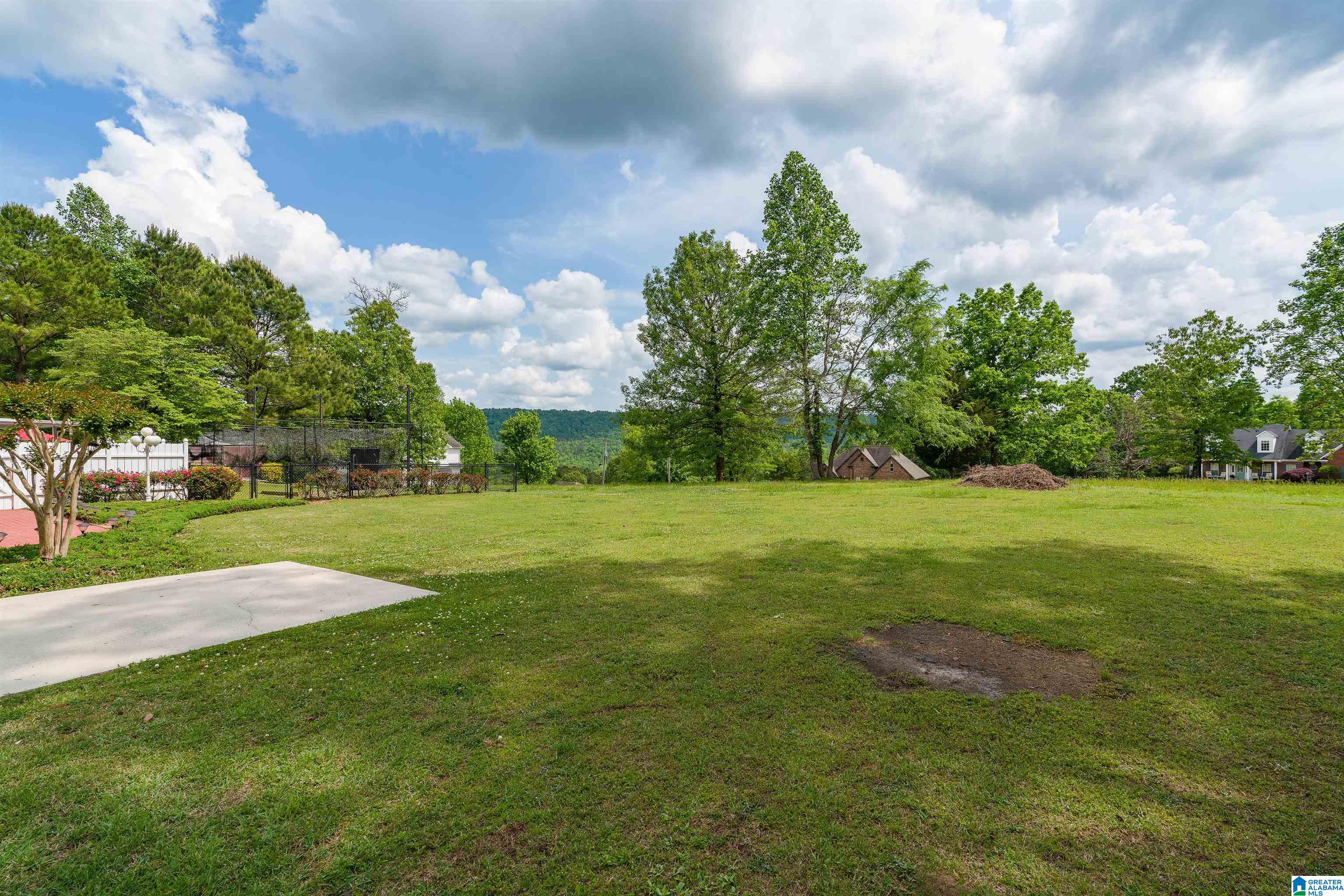 55 Kings View Court Oneonta, AL 35121 - Photo 35 of 37