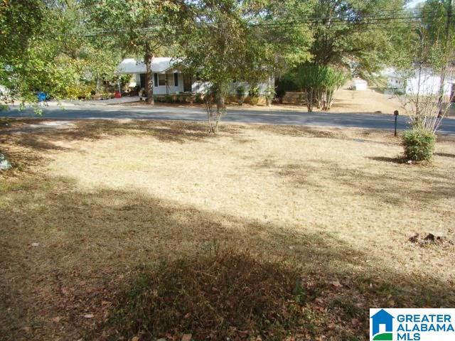 709 Alexandria Road Southwest Jacksonville, AL 36265 - Photo 23 of 24