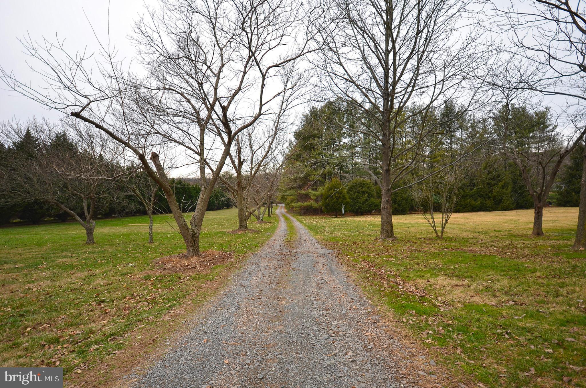 20952 Evergreen Mills Road Leesburg, VA 20175 - Photo 25 of 30 a view of a park