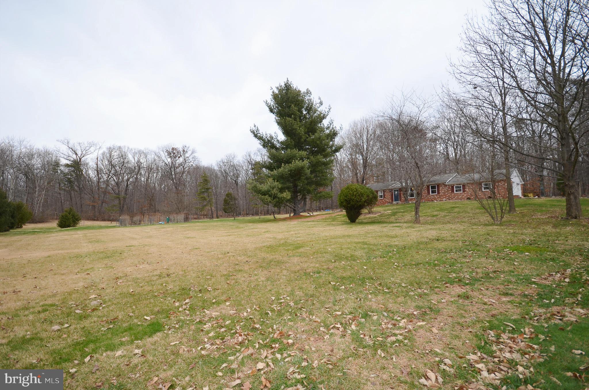 20952 Evergreen Mills Road Leesburg, VA 20175 - Photo 26 of 30 a view of outdoor space with garden and trees