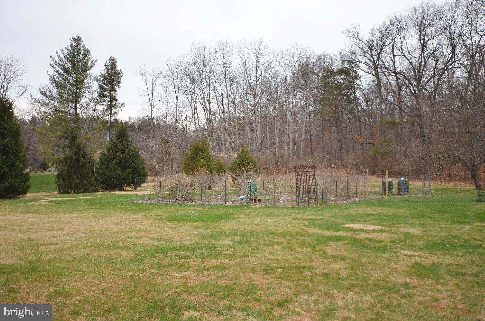 20952 Evergreen Mills Road Leesburg, VA 20175 - Photo 28 of 30 a view of a park with large trees