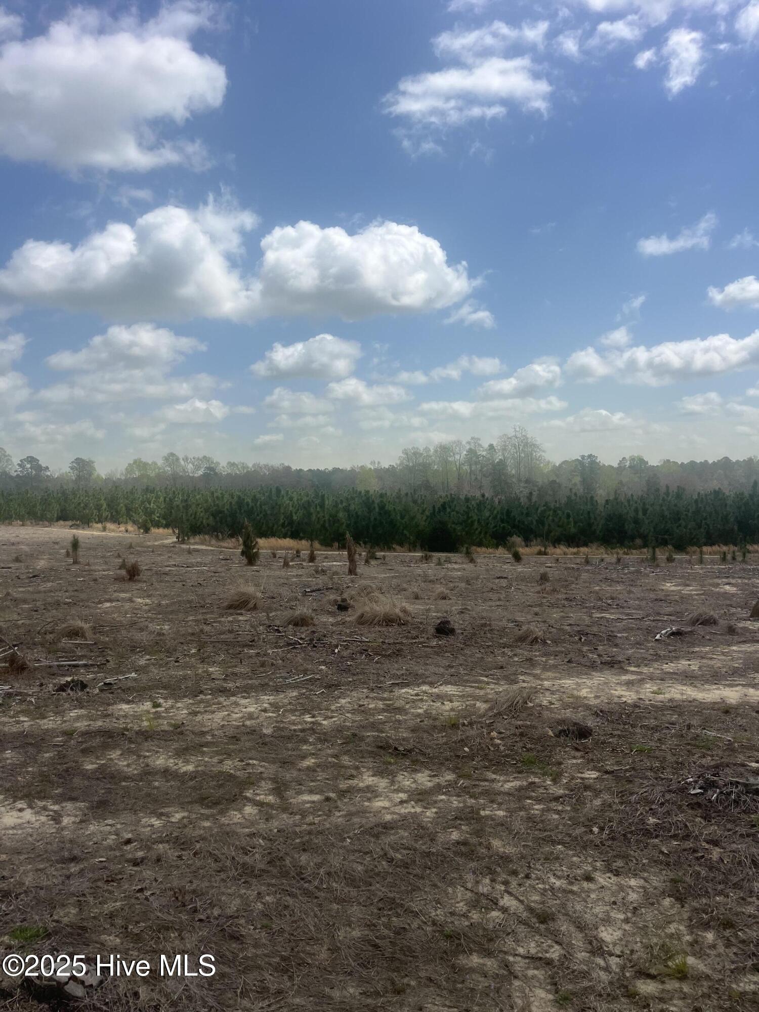 1641 Currie Mill Road Jackson Springs, NC 27281 - Photo 3 of 10 IMG_2189