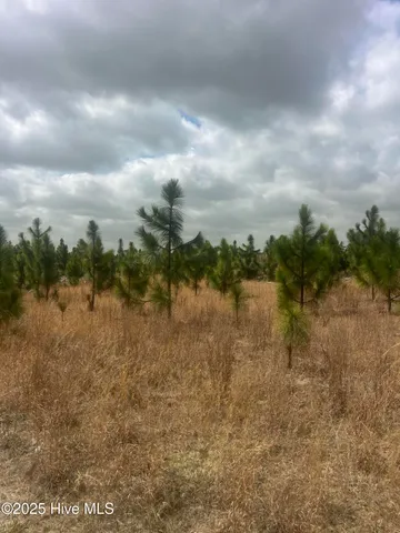 $152,100 | 1641 Currie Mill Road, Jackson Springs, NC 27281