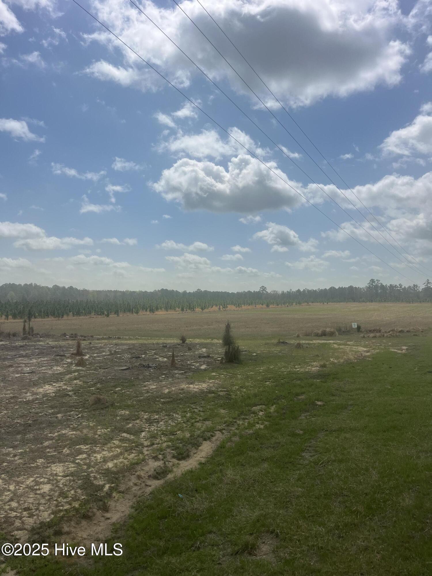 1641 Currie Mill Road Jackson Springs, NC 27281 - Photo 8 of 10 IMG_2187