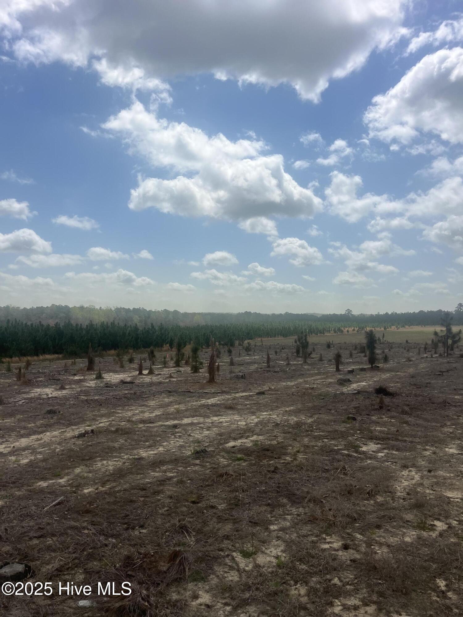 1641 Currie Mill Road Jackson Springs, NC 27281 - Photo 9 of 10 IMG_2188