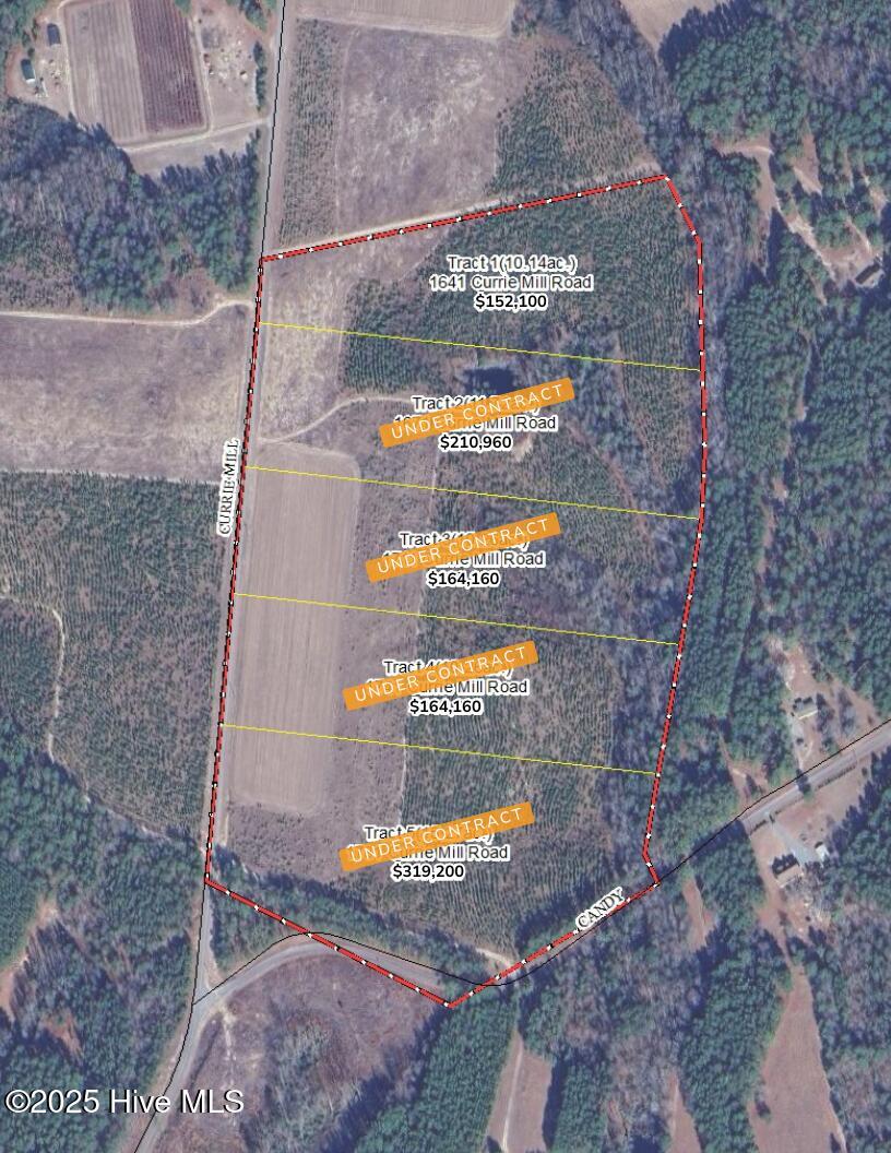 1641 Currie Mill Road Jackson Springs, NC 27281 - Photo 10 of 10 Currie Mill Rd Tracts June 2025