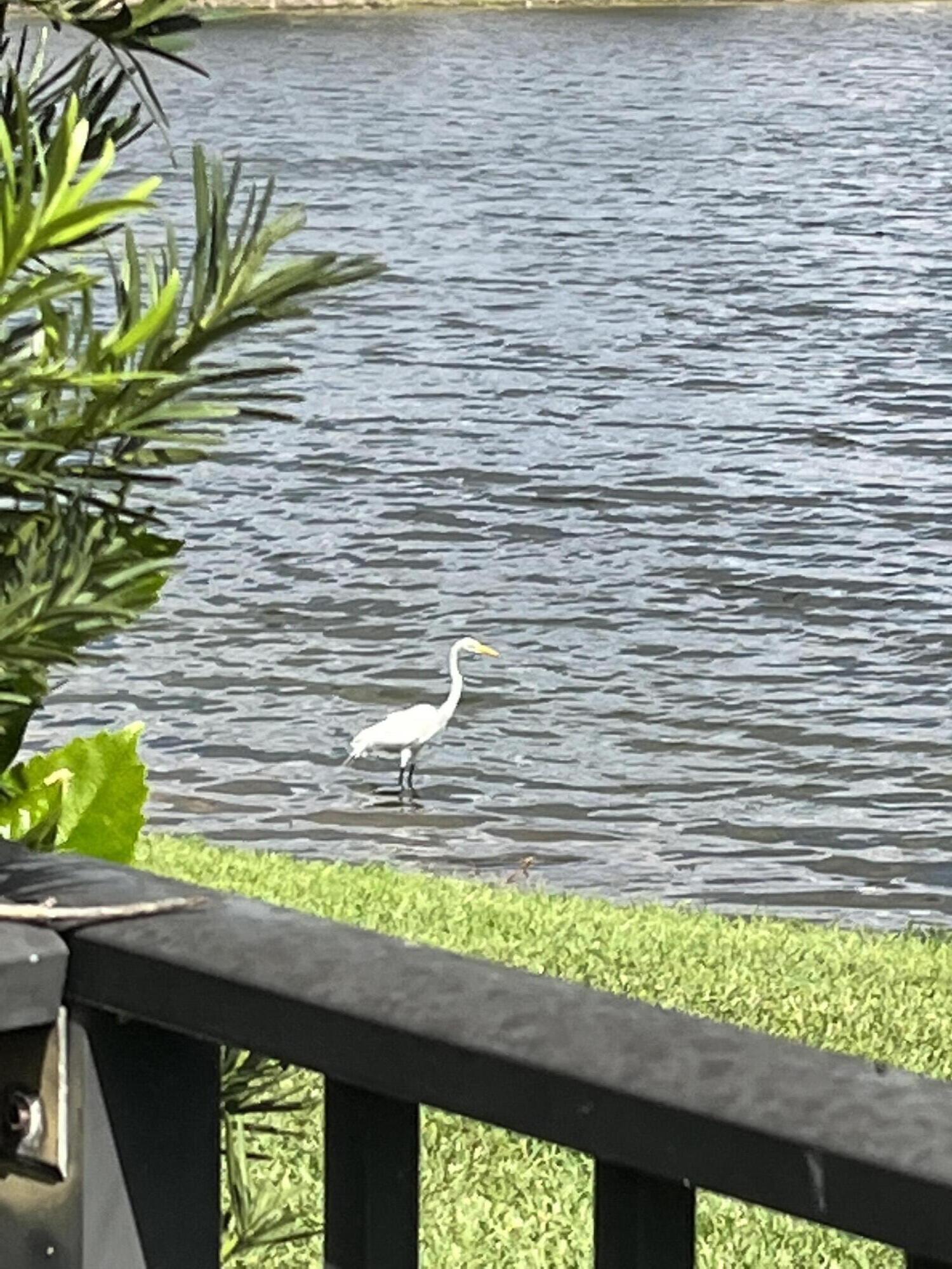 17921 Villa Club Way Boca Raton, FL 33496 - Photo 8 of 64 VCW backyard3