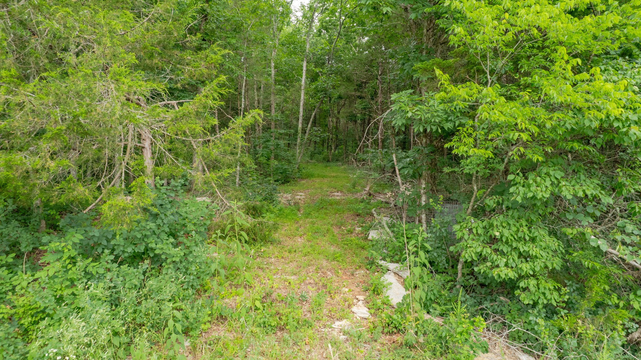 0 Morgan Road Rockvale, TN 37153 - Photo 4 of 24