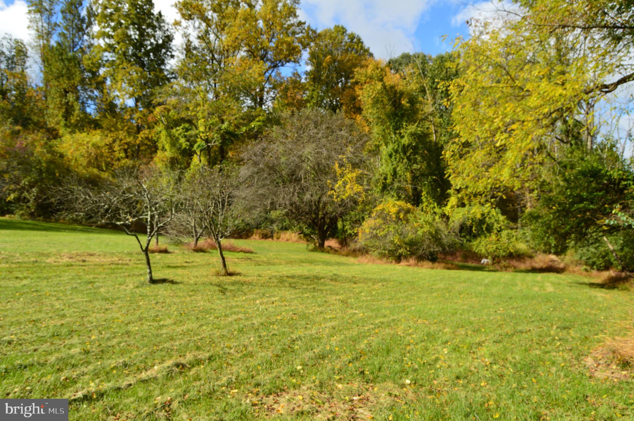 116 Bull Road Oley, PA 19547 - Photo 44 of 54 Open areas as well as wooded areas