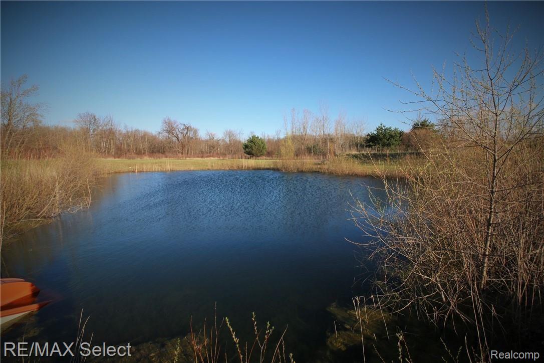 9665 Fulmer Road Millington, MI 48746 - Photo 6 of 26 IMG_0337 (2).JPG