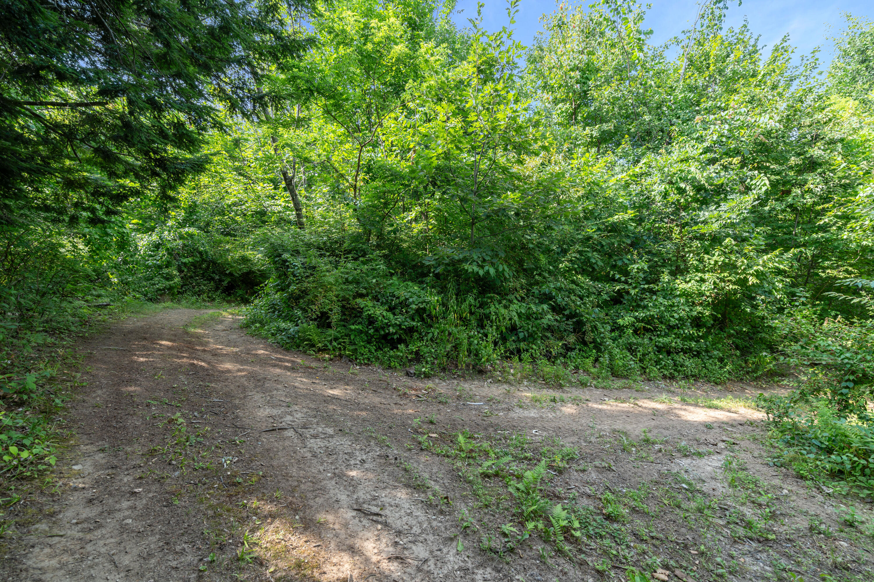 148 Lake House Road Naples, ME 04055 - Photo 49 of 54 DSC06347