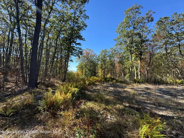 $214,000 | O Mercer Mountain Road, East Chatham, NY 12060