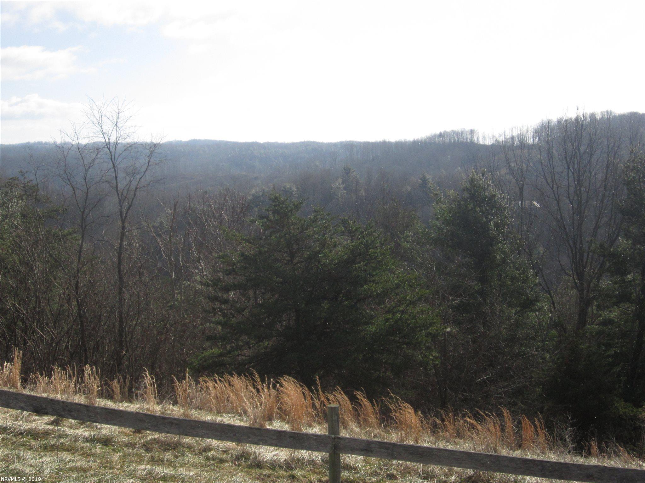 1169 Lick Ridge Road Northeast Check, VA 24072 - Photo 9 of 35 Gallery Image 9