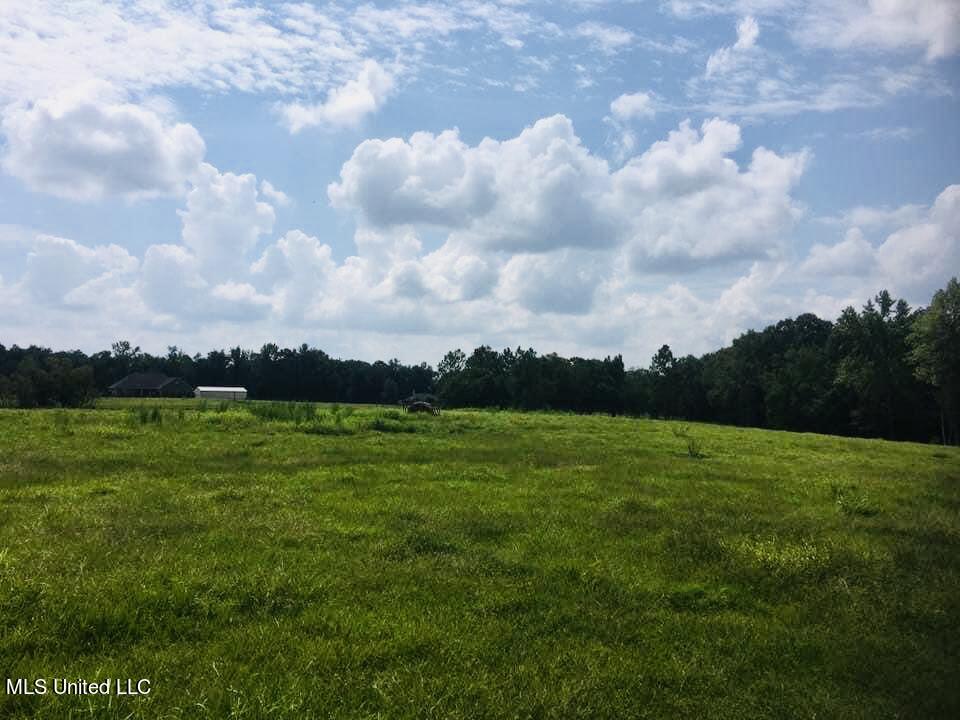 Yellow Bluff Rd Road Lucedale, MS 39452 - Photo 2 of 9 1CC173EC-98A2-4F4B-9B8E-7599F9D6F795