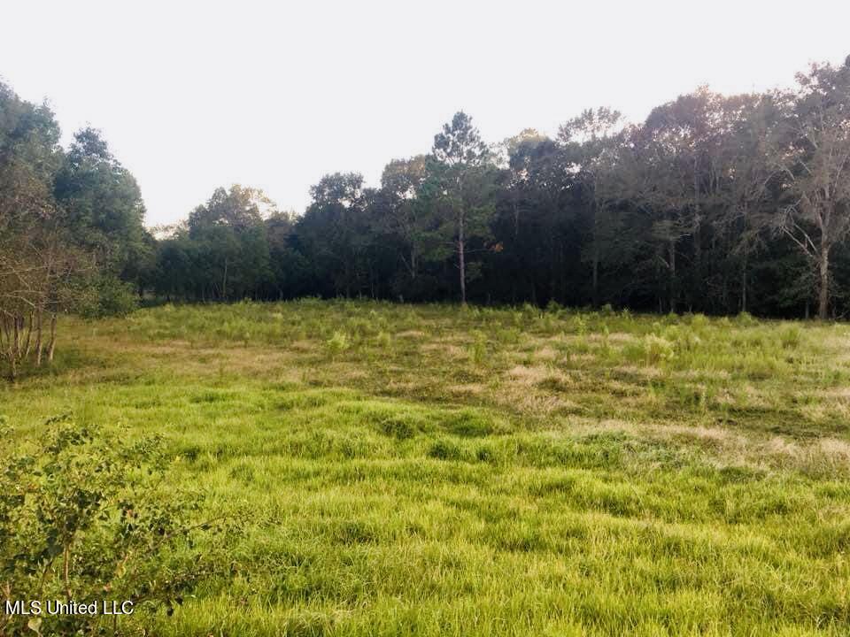 Yellow Bluff Rd Road Lucedale, MS 39452 - Photo 5 of 9 4C8AD8A7-589E-44F3-82DA-D12E92BE0B8C