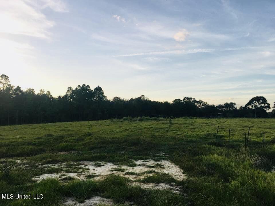 Yellow Bluff Rd Road Lucedale, MS 39452 - Photo 6 of 9 3FCDD38E-920D-4B0E-85FB-954A8C8B3316