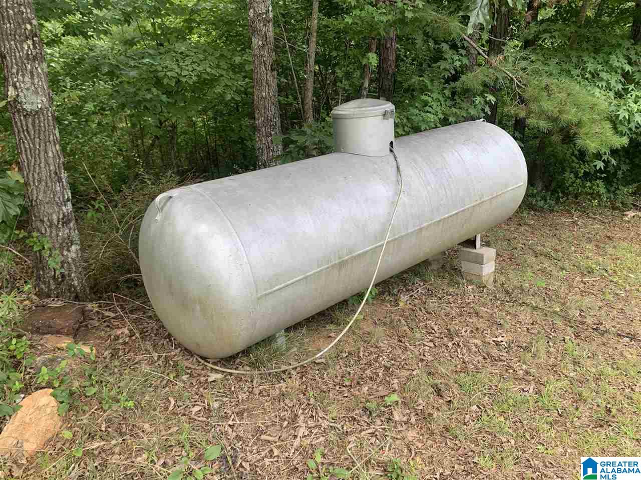 2766 County Road 201 Delta, AL 36258 - Photo 33 of 35