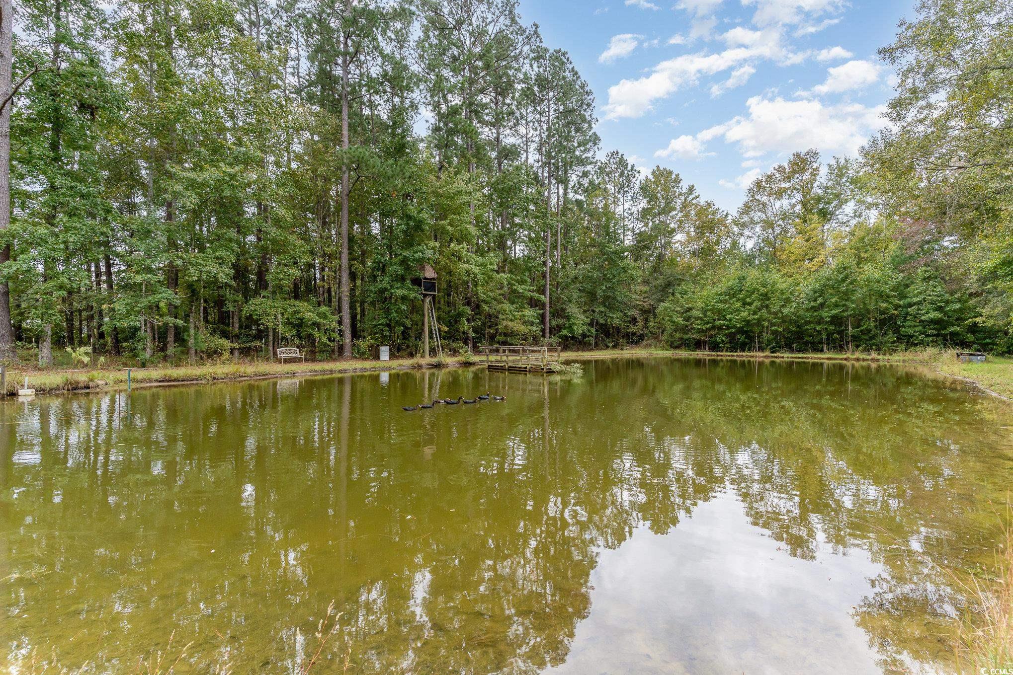 5133 Scurry Road Conway, SC 29527 - Photo 30 of 37 Gallery Image 30