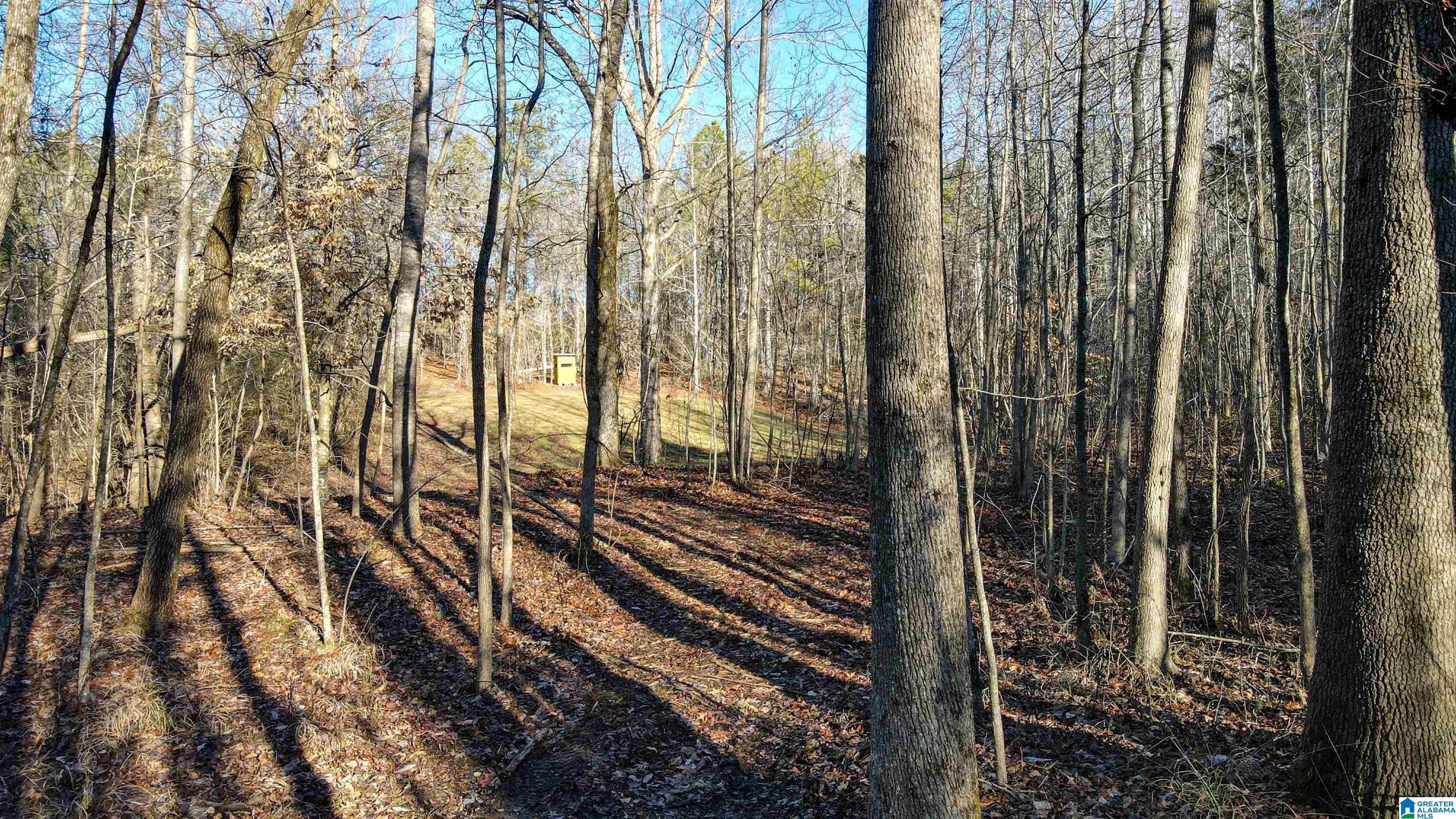 29 Highway Hamilton Al, Unit 1 Hamilton, AL 35570 - Photo 31 of 55