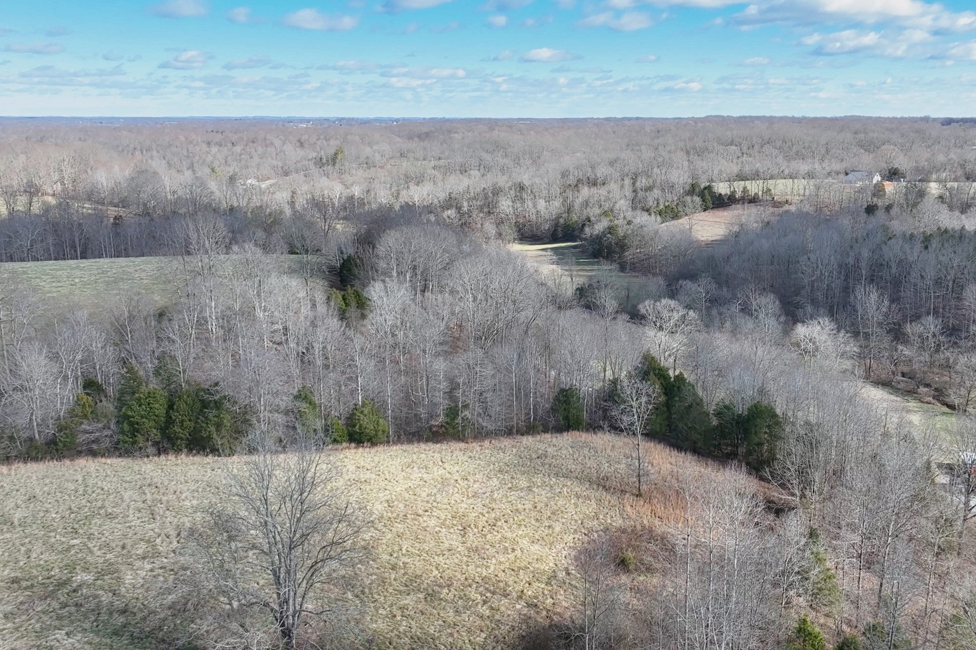 1267 Purtle Road Lafayette, TN 37083 - Photo 11 of 25 a view of a dry yard