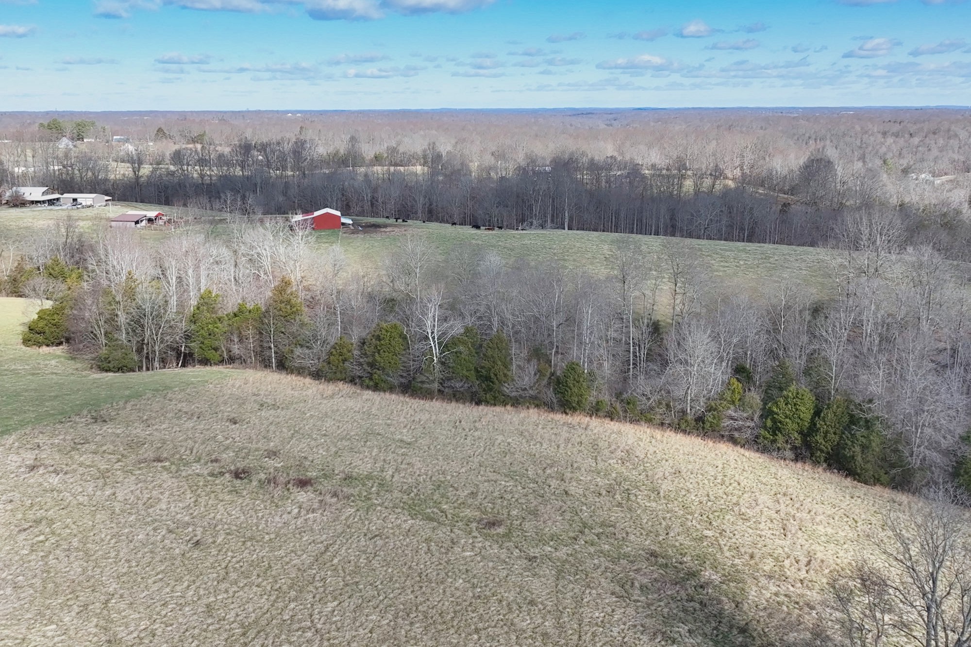 1267 Purtle Road Lafayette, TN 37083 - Photo 13 of 25 a view of a dry yard with wooden fence