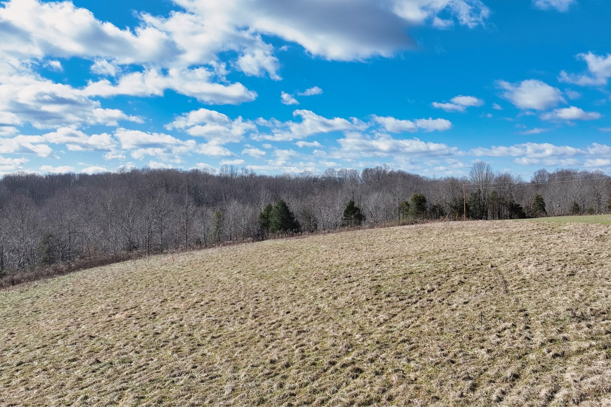 1267 Purtle Road Lafayette, TN 37083 - Photo 14 of 25