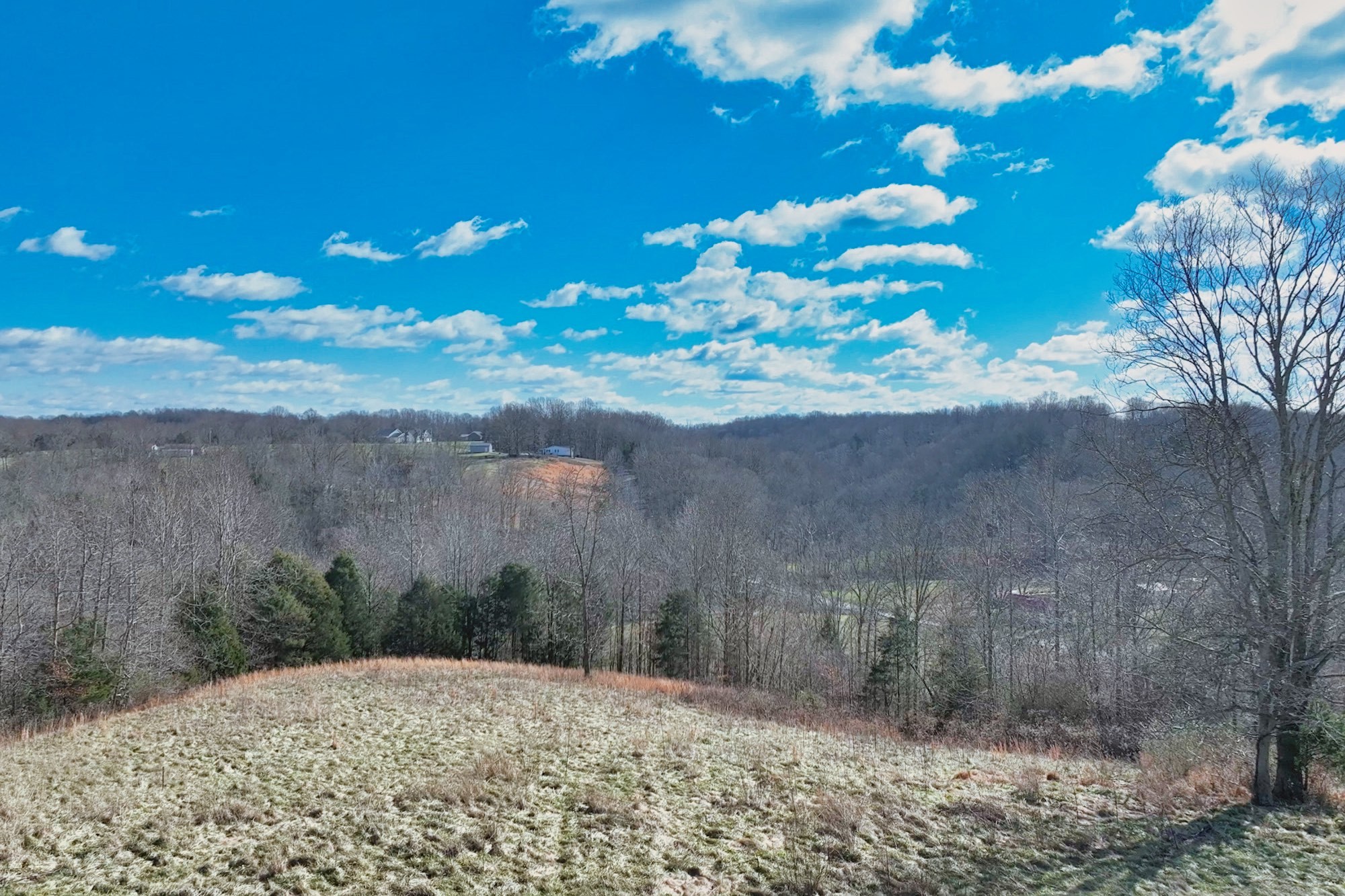 1267 Purtle Road Lafayette, TN 37083 - Photo 15 of 25 a view of a yard with an tree