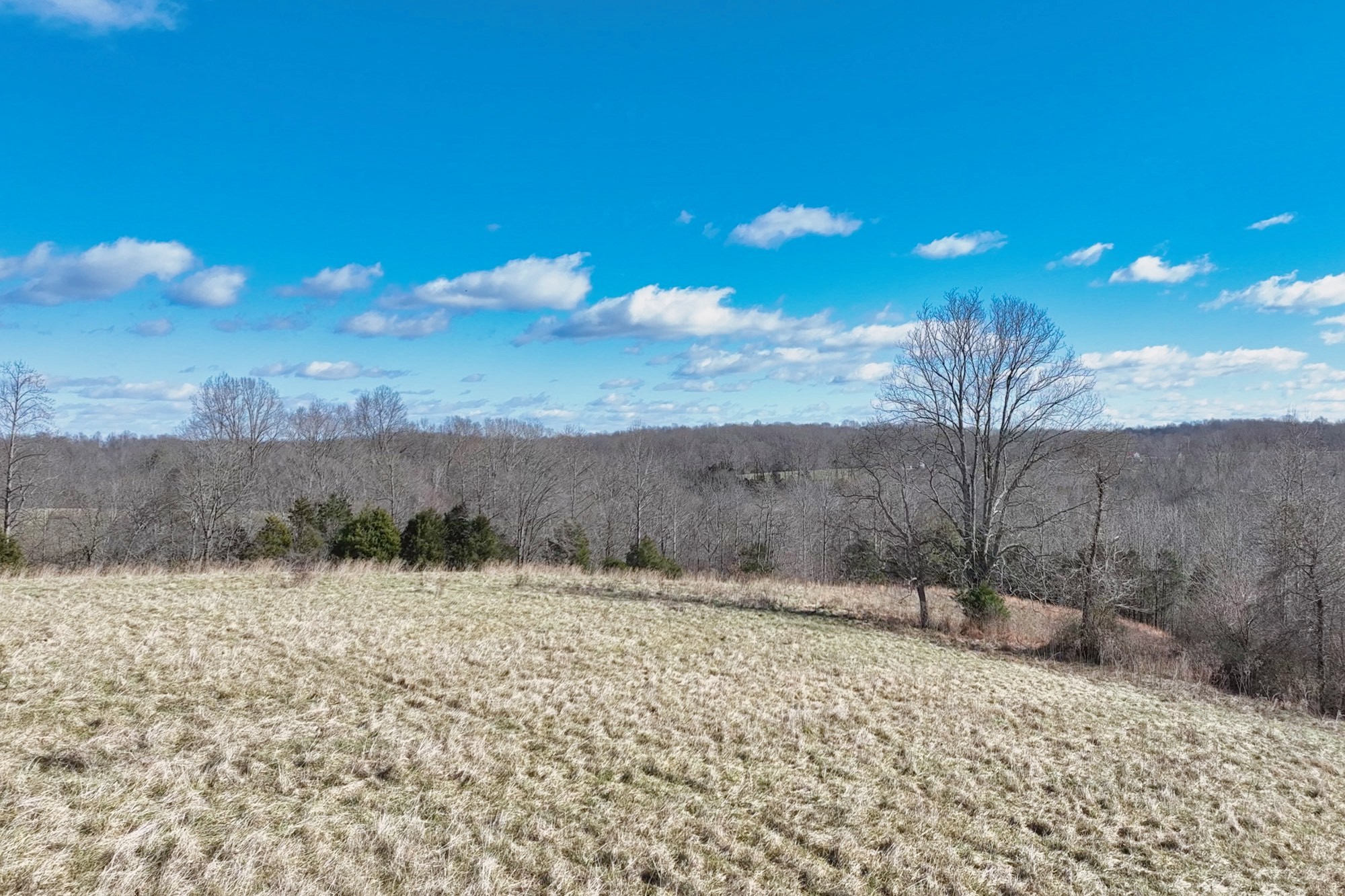 1267 Purtle Road Lafayette, TN 37083 - Photo 16 of 25