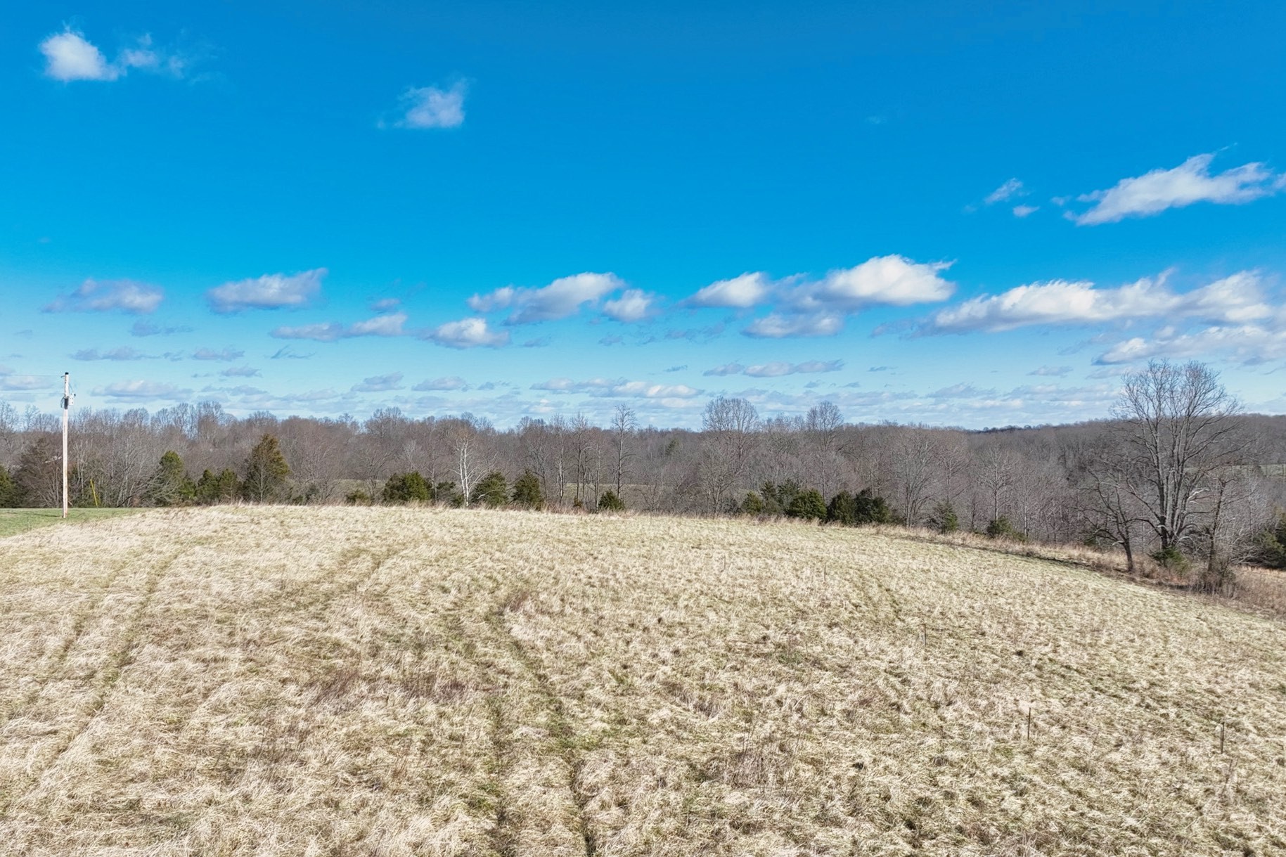 1267 Purtle Road Lafayette, TN 37083 - Photo 19 of 25 a view of an outdoor space and a yard