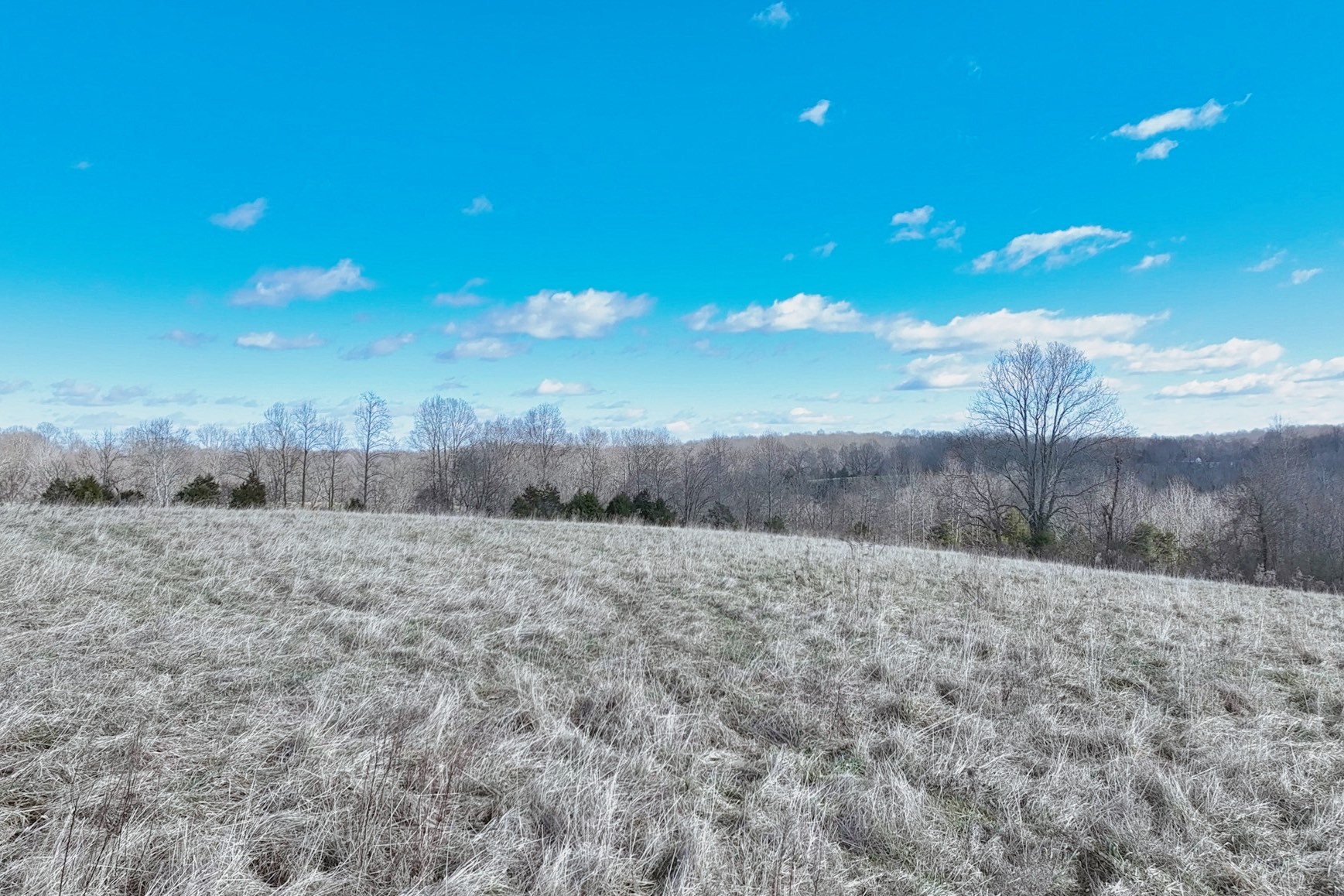1267 Purtle Road Lafayette, TN 37083 - Photo 23 of 25 a view of an outdoor space and a yard