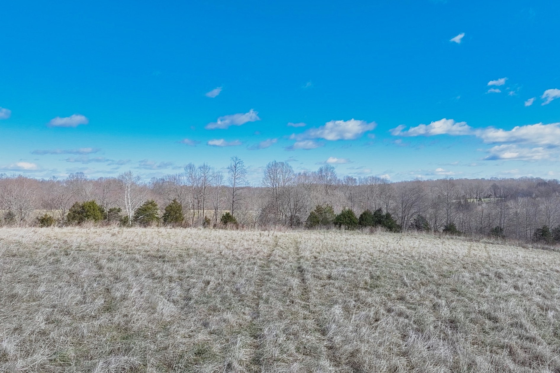 1267 Purtle Road Lafayette, TN 37083 - Photo 25 of 25