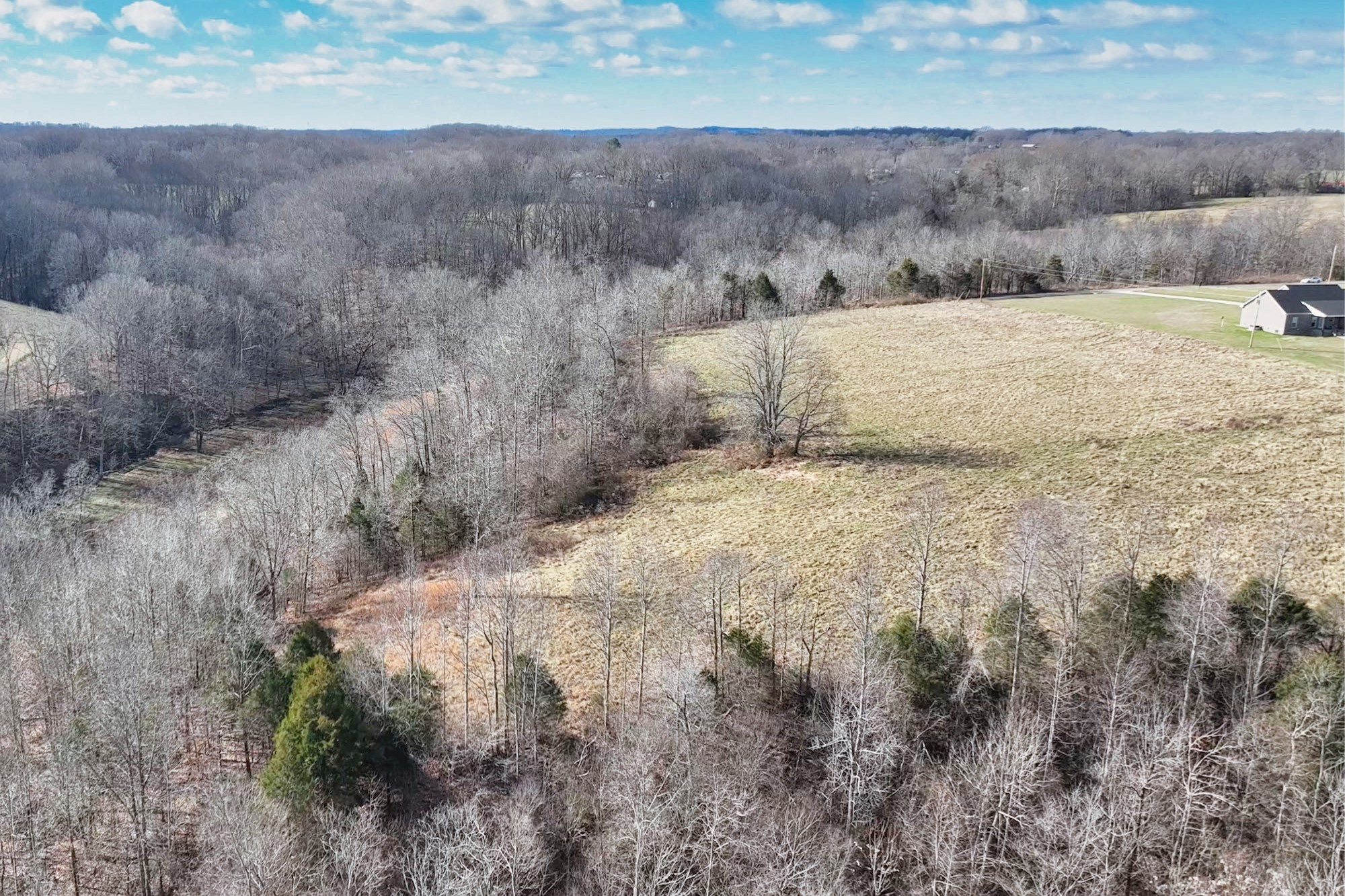 1267 Purtle Road Lafayette, TN 37083 - Photo 7 of 25 a view of a dry yard with trees