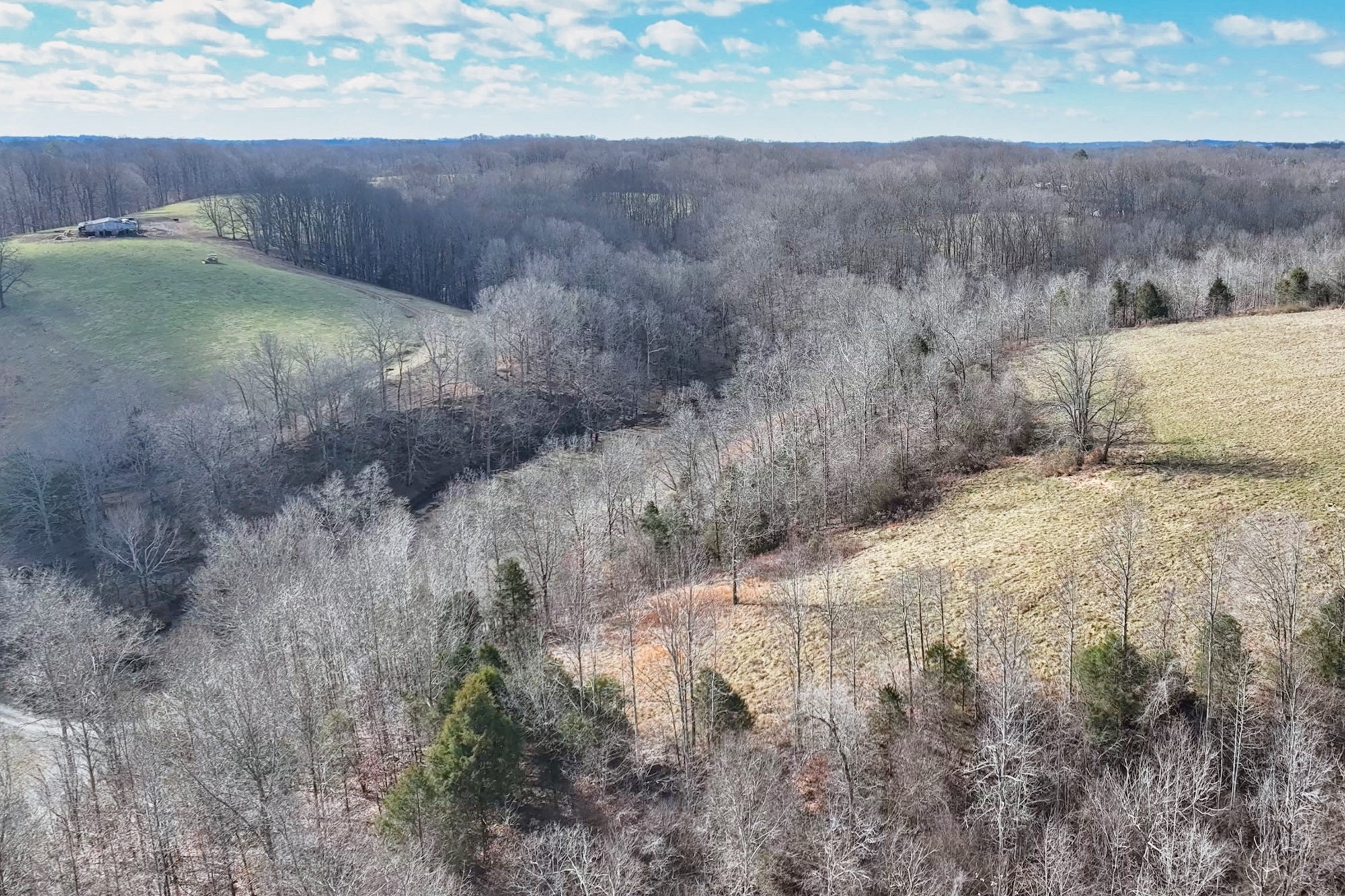 1267 Purtle Road Lafayette, TN 37083 - Photo 10 of 25 a view of a dry yard with trees