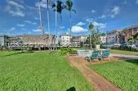 a view of a park with large trees