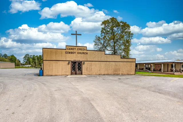 a view of backyard of house and green space